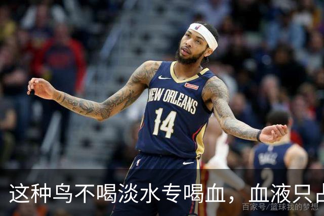 这种鸟不喝淡水专喝血,血液只占食谱十分之一